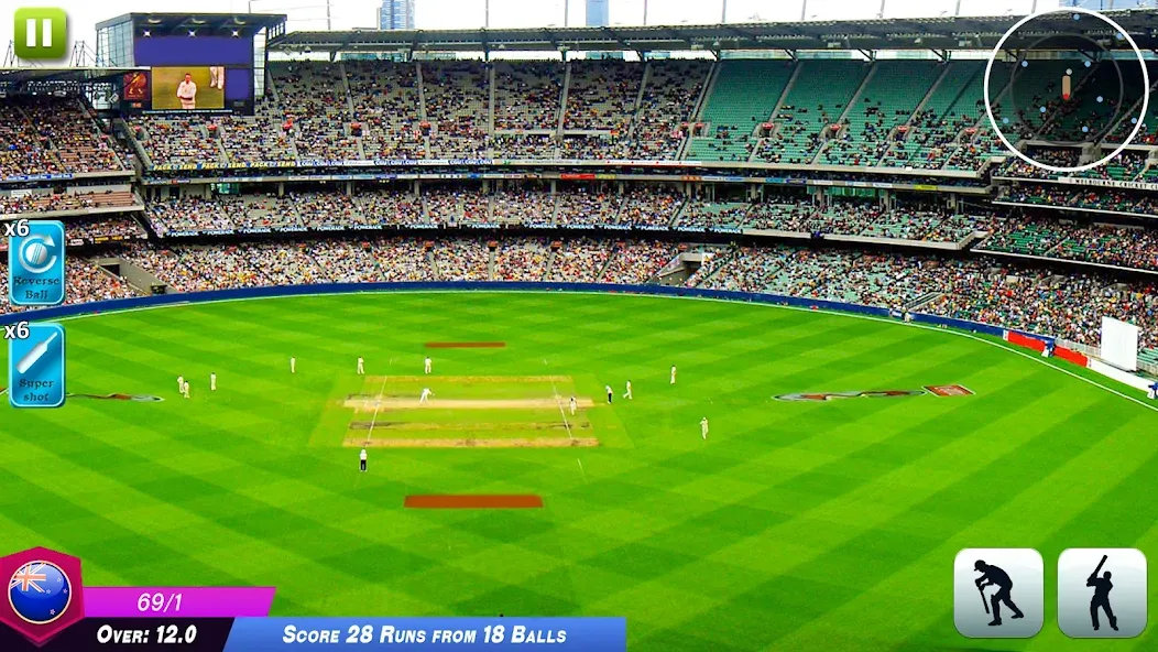 World Cricket Games Offline  [МОД Mega Pack] Screenshot 3