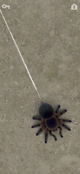CAT ALONE 2 - Cat Toy (САТ АЛОНЕ 2)  [МОД Много денег] Screenshot 4